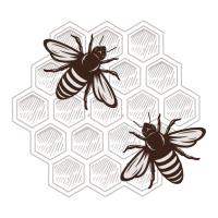 honeycombe-01